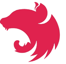 Nest JS